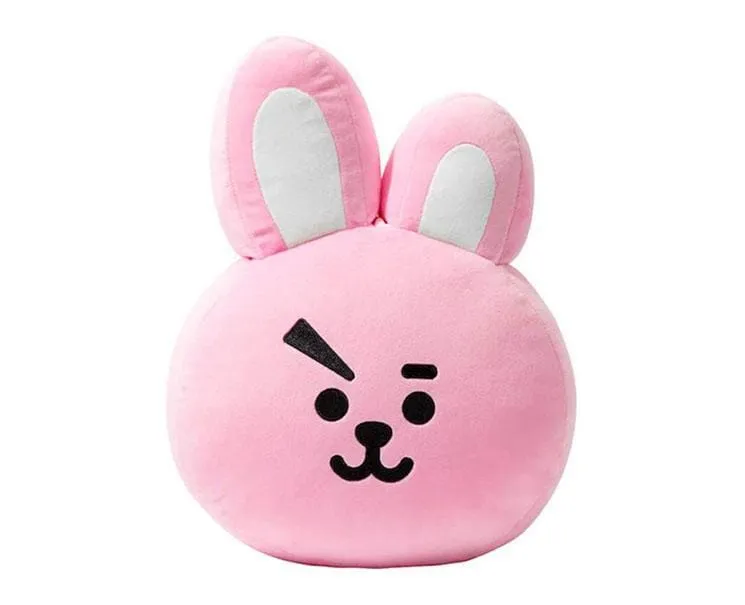 Bts Big Cushion: Cooky