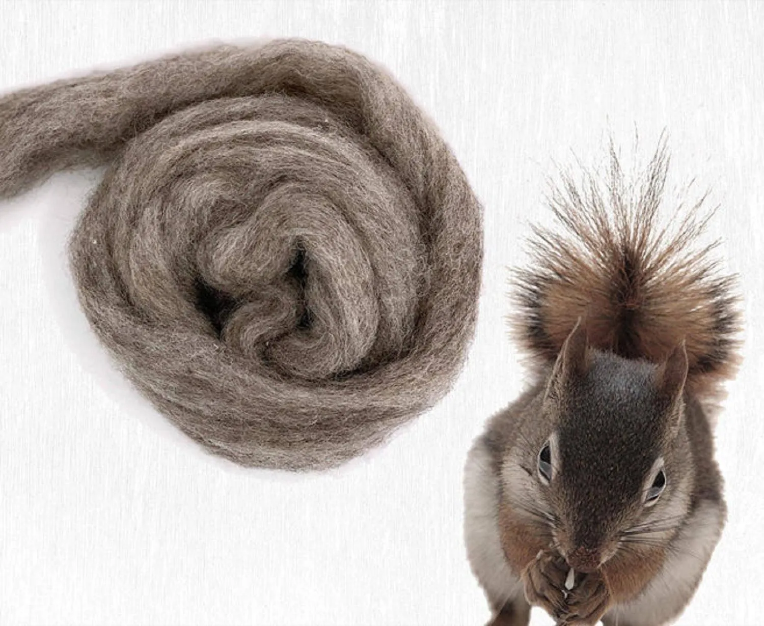 Furry Friends | Carded Corriedale Wool Sliver